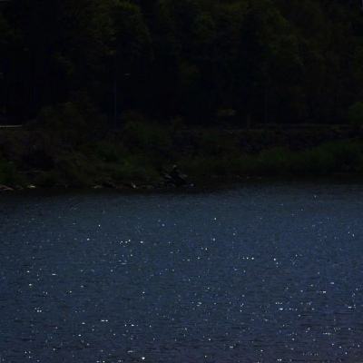 动物欢乐多内购破解版